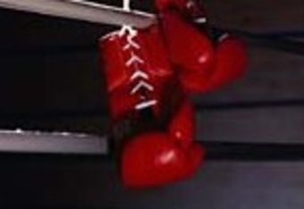 22197404_cropped