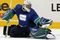 Luongo_small