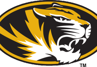 Tigers_crop_340x234