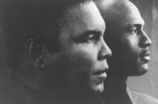 Ali_crop_310x205