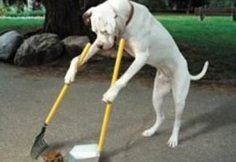 Potty-training_crop_340x234