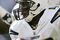 Sproles2_small