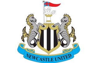 Newcastle_crop_310x205