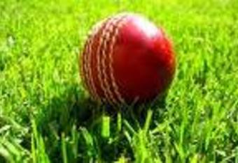 Cricket_ball_crop_340x234
