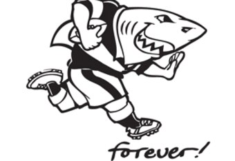 Sharksforever2008shrx305_crop_340x234