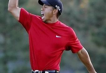 Tigerwoods_crop_340x234