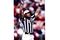 Hochuli1b_small