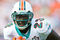 Tx_ronnie_brown_rosato_small