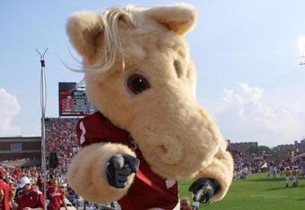 Horsepig_crop_340x234