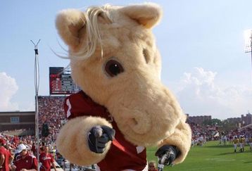 Horsepig_feature