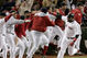 Sox22_medium