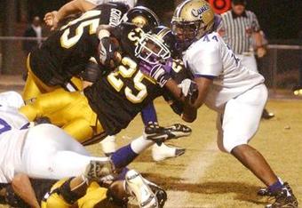 Canes1_crop_340x234