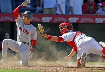 Pedroia_crop_340x234