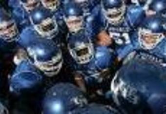 Buffalo_bulls_crop_340x234