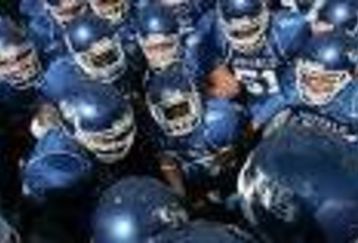 Buffalo_bulls_feature