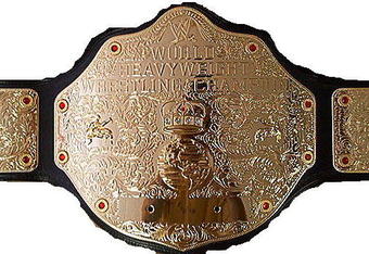 Wwewrld2_crop_340x234