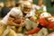 Fsu_pic_08_small