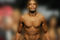 4921-anderson-silva_small