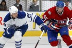Vanryn480canadiens_crop_150x100