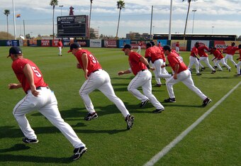 50631996_cubs_v_angels_crop_340x234