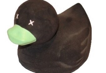 Ducks_crop_340x234
