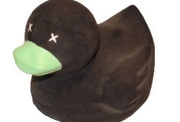 Ducks_feature