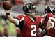 Falcons_medium