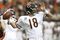 4880730_bears_v_falcons_small