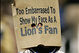 Lions_fan_medium