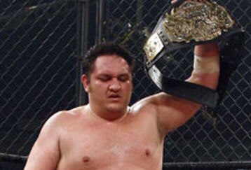 Samoa_joe_feature