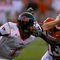 Ark_state_crop_60x60