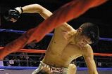 Mma_miguel_torres2_300_more_feature