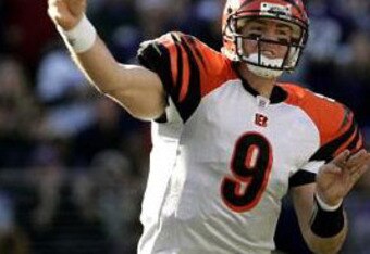 Nflf-carson_palmer_120504_crop_340x234
