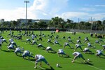 5340055_dolphins_training_camp_crop_150x100