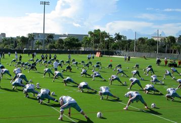 5340055_dolphins_training_camp_feature