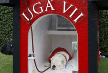 4880337_georgia_southern_v_uga_feature