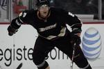 Selanne2_crop_150x100