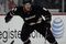 Selanne2_small
