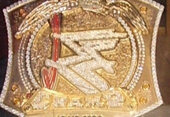 Wwe-spinner-belt_commons_crop_340x234