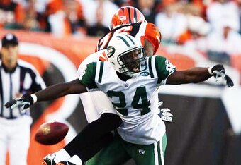 Revis05_crop_340x234