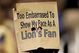 Lions11wo-785292_medium
