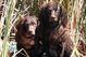 Mollyand_zol_medium