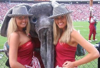 Bama_twins_crop_340x234