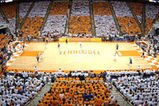 Thompson-arena_more_feature