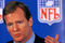 Roger_goodell_2_small