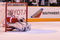 2835018_redwings_v_sharks_small