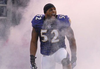 Baltimore_ravens_crop_340x234