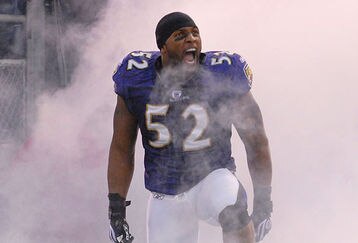 Baltimore_ravens_feature