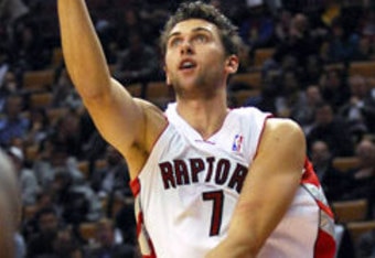Bargnani-250_crop_340x234
