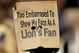Lions11wo-785292_medium